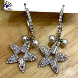 Cubic Zirconia Studded Stainless Steel Star Drop Designed Earrings