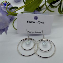 Silver Toned Double Circular Stone Drop Earrings