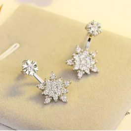 Silver Korean Style Stone Studded Double Sided Ear Studs